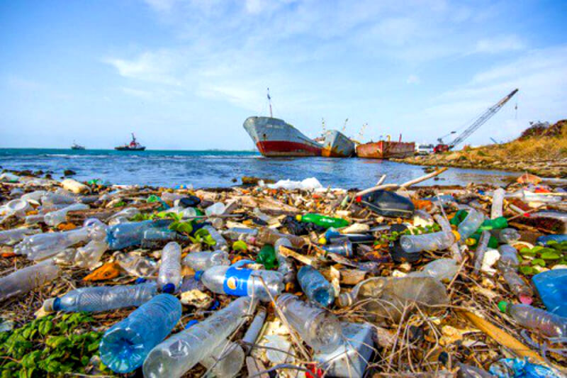 Quatorze œuvres primées au concours photographique Histoire des déchets plastiques